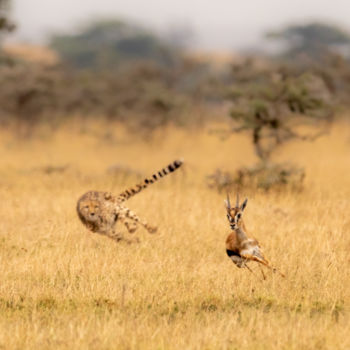 Photographie intitulée ""Behind you!"" par Nick Dale, Œuvre d'art originale, Photographie numérique