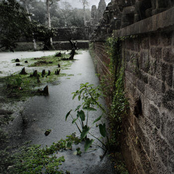 "Angkor-wet" başlıklı Fotoğraf Nico Cofu Arach tarafından, Orijinal sanat