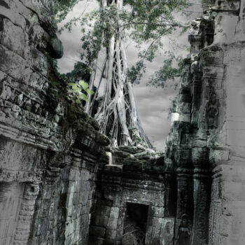 Fotografia intitolato "The Angkor white tr…" da Nico Cofu Arach, Opera d'arte originale, Fotografia manipolata
