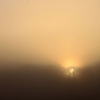 Fotografía titulada "Misty dawn" por Nico Cofu Arach, Obra de arte original