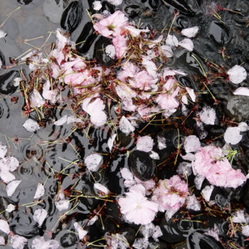 Fotografia intitulada "Sakura Square: Diss…" por Nico Cofu Arach, Obras de arte originais