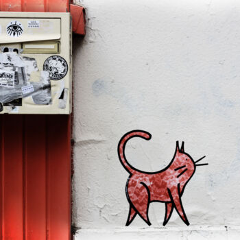 摄影 标题为“Le chat rouge.” 由Nico Cofu Arach, 原创艺术品