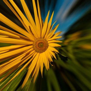 Fotografía titulada "Plexus solaire" por Nicolas Bernié, Obra de arte original