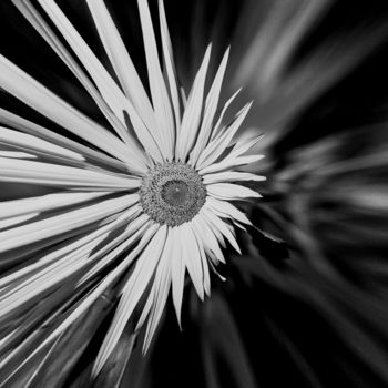 Photographie intitulée "Plexus solaire n&b" par Nicolas Bernié, Œuvre d'art originale