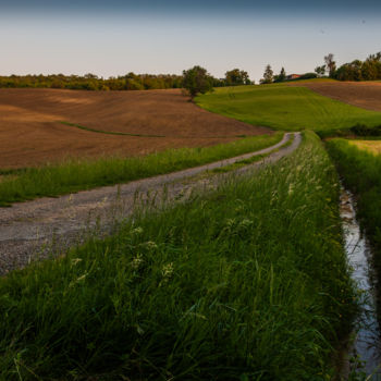 Фотография под названием "Paysage Alan" - Nicolas Bernié, Подлинное произведение искусства