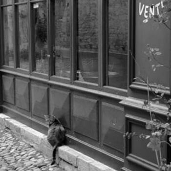 Photographie intitulée "Le chat des rues" par Nicolas Compagnon, Œuvre d'art originale