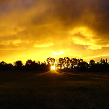 Fotografia intitulada ""Coucher du soleil"" por Nicolas David Correa, Obras de arte originais