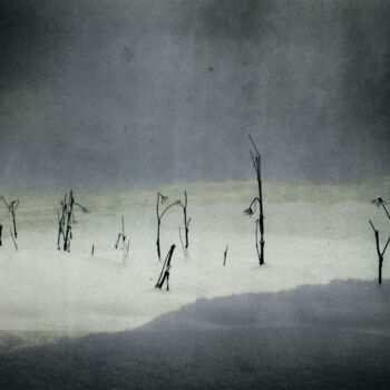 "Mont Analogue X" başlıklı Fotoğraf Nicolas Espinasse tarafından, Orijinal sanat, Analog Fotoğrafçılık