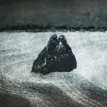 Fotografía titulada "Mont Analogue IX" por Nicolas Espinasse, Obra de arte original, Fotografía analógica