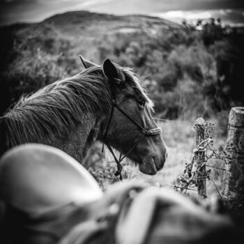 Photographie intitulée "horse black and whi…" par Nicolas Giannatasio, Œuvre d'art originale, Photographie numérique