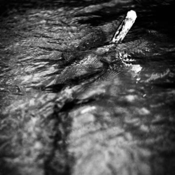 Fotografia zatytułowany „Rio oscuro” autorstwa Nicolas Giannatasio, Oryginalna praca, Fotografia cyfrowa
