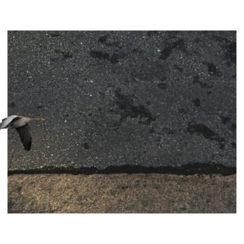 Photography titled "asphalt landscape 5…" by Nicolas Lespagnol, Original Artwork, Non Manipulated Photography Mounted on Alu…