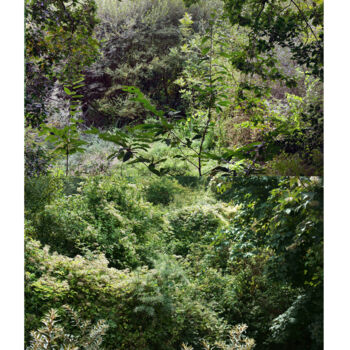 Photographie intitulée "Welded landscapes (…" par Nicolas Lespagnol, Œuvre d'art originale, Photographie non manipulée Monté…
