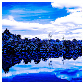 Fotografie getiteld "Evergreen, blue win…" door Nicolas-Monk.Gd, Origineel Kunstwerk, Digitale fotografie