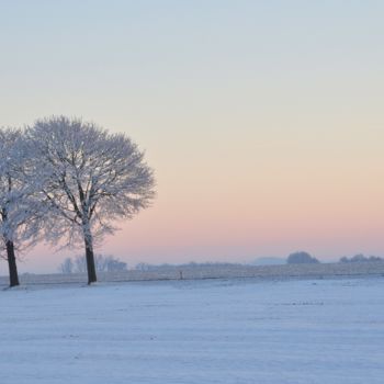 Fotografía titulada "Winter tree" por Nicolas Pirson, Obra de arte original