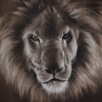 Malarstwo zatytułowany „Lion threat” autorstwa Nicolas Planson, Oryginalna praca, Pastel Zamontowany na Karton