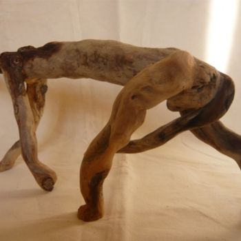 Sculpture intitulée "chien maigre" par Nicole Agoutin, Œuvre d'art originale
