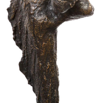 Sculpture intitulée "Envol 3" par Nicole Besnainou, Œuvre d'art originale, Bronze