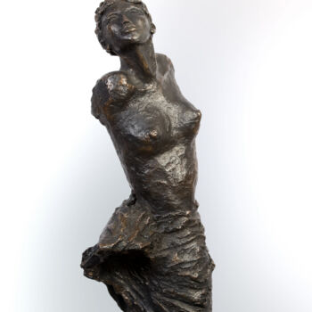 Sculpture titled "ENVOL 15" by Nicole Besnainou, Original Artwork, Bronze