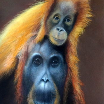 Painting titled "Orang Outan" by Nicole Delanchy, Original Artwork, Pastel