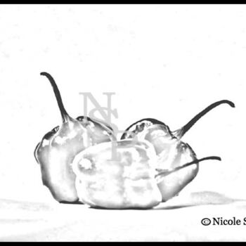 Fotografia intitolato "Caribbean Peppers" da Nicole Stanislas, Opera d'arte originale