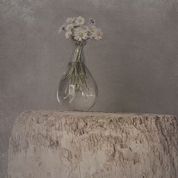 Fotografie mit dem Titel "Bouquet 6" von Nicole Rochedix, Original-Kunstwerk, Digitale Fotografie