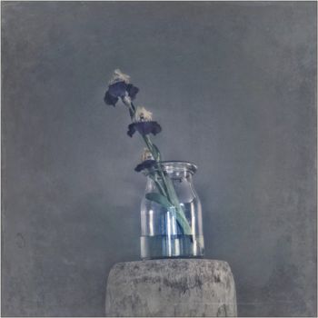 Fotografie mit dem Titel "Bouquet 7" von Nicole Rochedix, Original-Kunstwerk, Digitale Fotografie