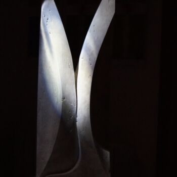 Escultura titulada ""Panozio: Orecchie…" por Nicolò Dell'Erba, Obra de arte original, Piedra