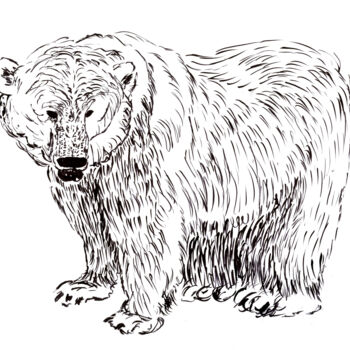 Σχέδιο με τίτλο "Polar Bear" από Niina Niskanen, Αυθεντικά έργα τέχνης, Μαρκαδόρος