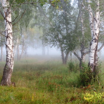 Fotografia zatytułowany „Утро туманное” autorstwa Николай Матюшенков, Oryginalna praca