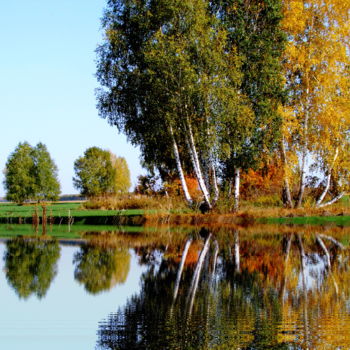 Photography titled "Осенний этюд" by Nikolai Matiushenkov, Original Artwork