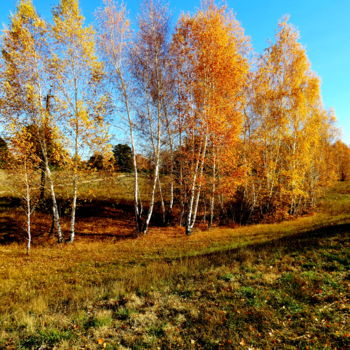 Photographie intitulée "Осень пришла" par Nikolai Matiushenkov, Œuvre d'art originale