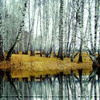 Fotografie getiteld "Весеннее наваждение" door Nikolai Matiushenkov, Origineel Kunstwerk