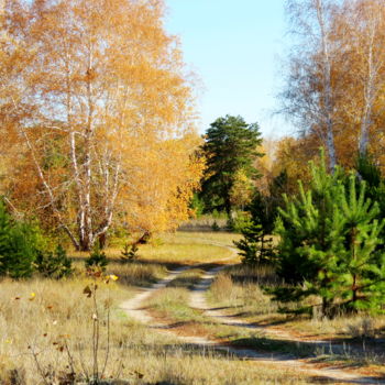 Photography titled "Грибная пора" by Nikolai Matiushenkov, Original Artwork