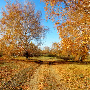 Photography titled "Золотая осень" by Nikolai Matiushenkov, Original Artwork