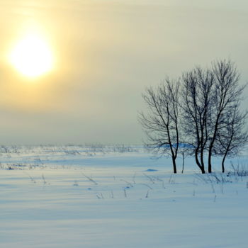 Фотография под названием "Холод пространства" - Николай Матюшенков, Подлинное произведение искусства