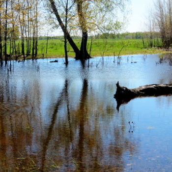Фотография под названием "Весенние разливы" - Николай Матюшенков, Подлинное произведение искусства