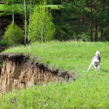 Photography titled "В конце мая" by Nikolai Matiushenkov, Original Artwork