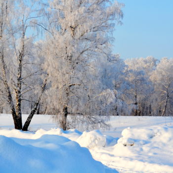 Фотография под названием "Зимняя лесостепь" - Николай Матюшенков, Подлинное произведение искусства