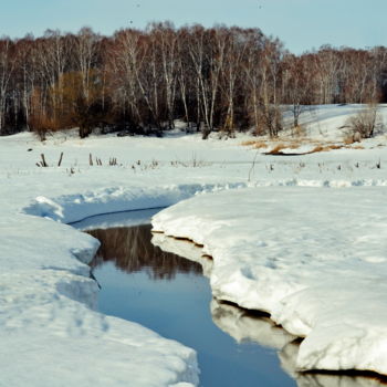 Photographie intitulée "Весна" par Nikolai Matiushenkov, Œuvre d'art originale