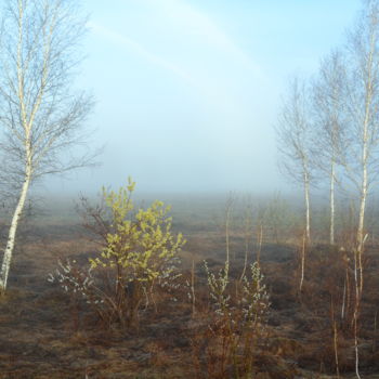 Fotografie getiteld "Весенние туманы" door Nikolai Matiushenkov, Origineel Kunstwerk