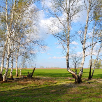 Photography titled "Весна пришла на Алт…" by Nikolai Matiushenkov, Original Artwork