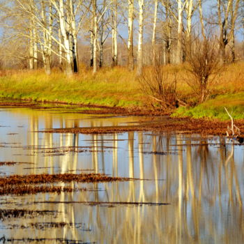 Fotografia zatytułowany „В пойме Оби” autorstwa Николай Матюшенков, Oryginalna praca