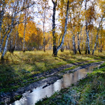 Фотография под названием "Осень пришла" - Николай Матюшенков, Подлинное произведение искусства