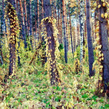 Фотография под названием "Хмельной лес" - Николай Матюшенков, Подлинное произведение искусства