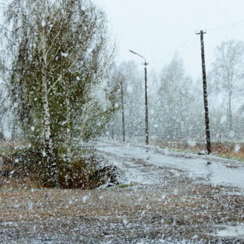 「Весенний снегопад」というタイトルの写真撮影 Николай Матюшенковによって, オリジナルのアートワーク