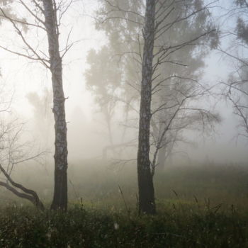 Фотография под названием "Грибные туманы" - Николай Матюшенков, Подлинное произведение искусства