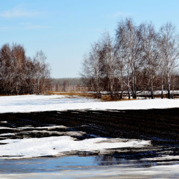 Photography titled "Весенние проталины" by Nikolai Matiushenkov, Original Artwork