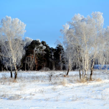 Φωτογραφία με τίτλο "Зимний пейзаж" από Николай Матюшенков, Αυθεντικά έργα τέχνης