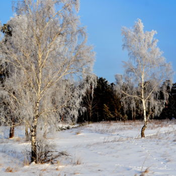 摄影 标题为“В начале зимы” 由Николай Матюшенков, 原创艺术品